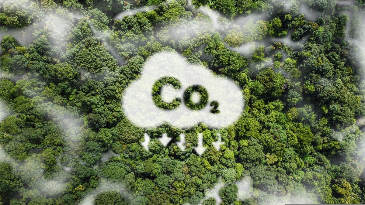 co2,white,fog,,concept,showing,the,problem,of,carbon,dioxide
