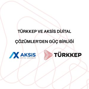 web site görsel kopya 100 web site görsel kopya 100